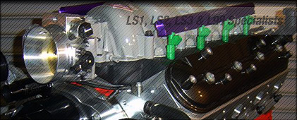 High Performance LS1, LS2, LS3, L98, L76, LS7 Engine Building